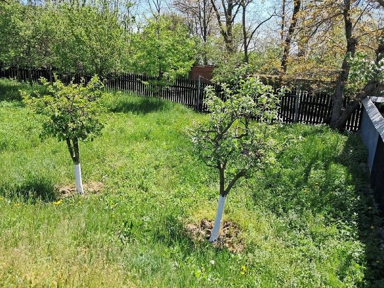 Teren de 3056 mp, în Central