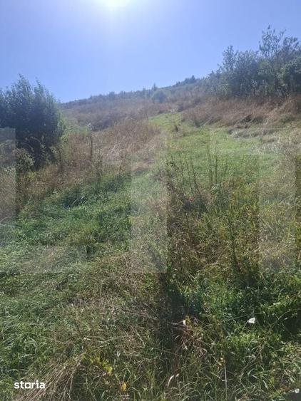 Teren de 1573 mp, în Central