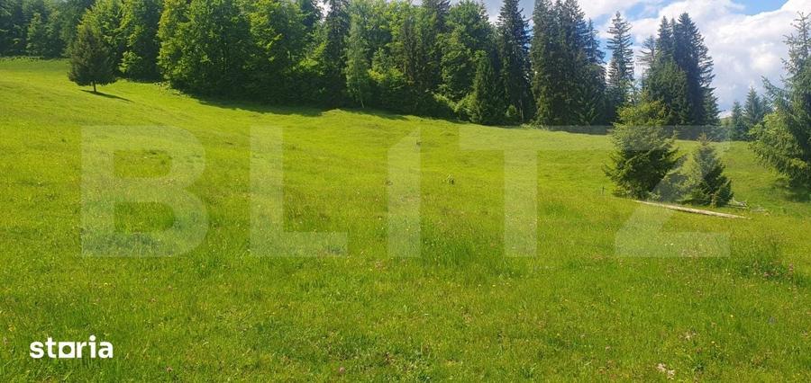Casă cu 2 camere cu Teren 30000 Mp în Dorna Candrenilor
