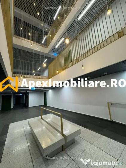Apartament 2 camere de inchiriat Herastrau Bucure?ti | Apex - 5