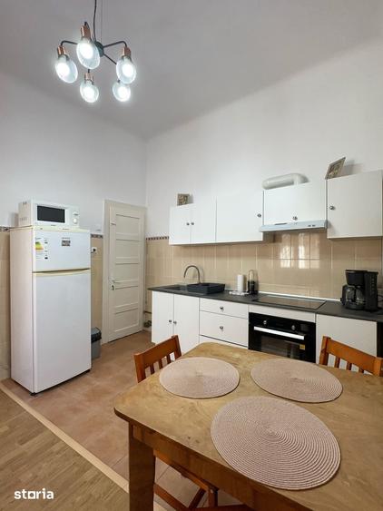 Apartament de inchiriat pet friendly central Albert Einstein Cluj - 1
