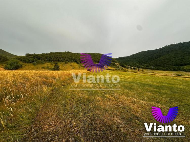 Teren agricol extravilan de 3408 mp, în Gura Râului