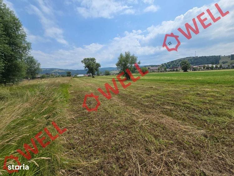 Spațiu comercial, în Barcani