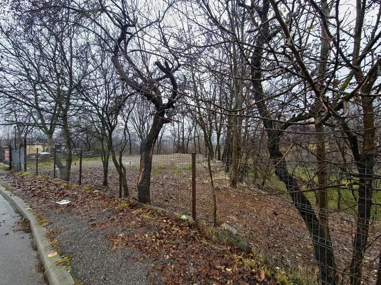 Teren de 1561 mp, în Bela