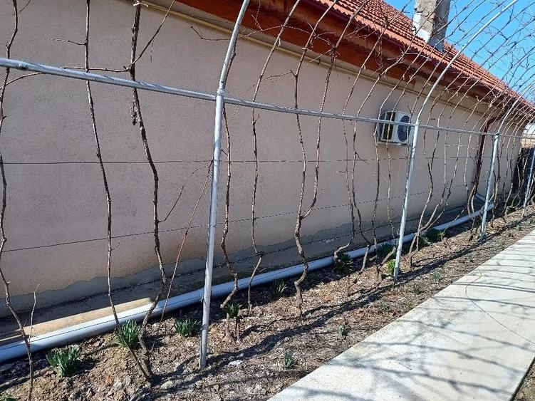 Casă cu 3 camere cu Teren 1150 Mp în Central