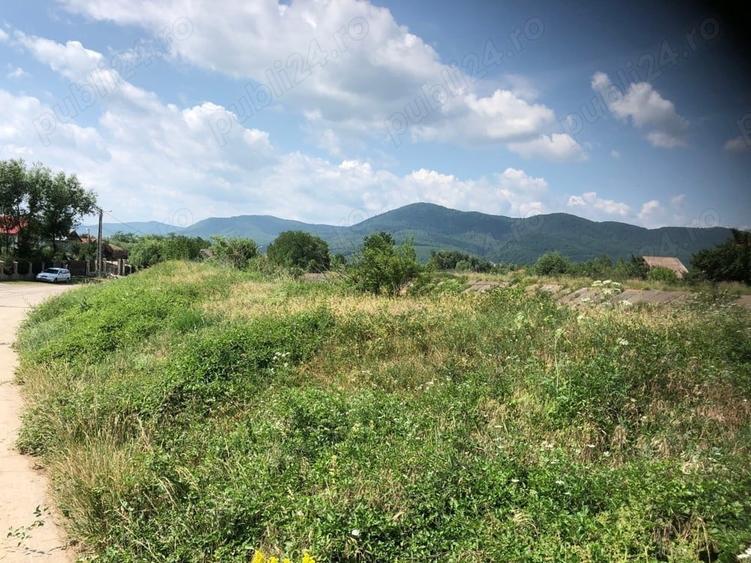 Teren de 5470 mp, în Ciritei