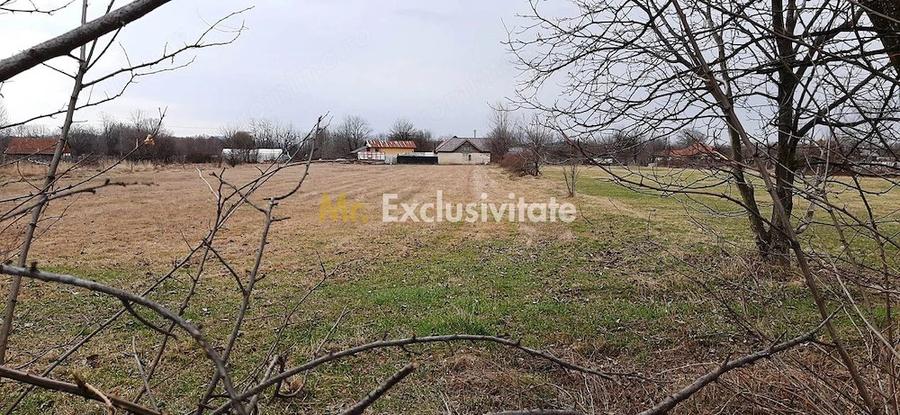 Teren de 4972 mp, în Polovragi