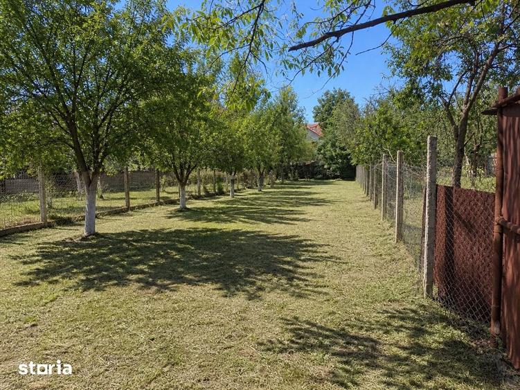 Teren de 517 mp, în Cantemir
