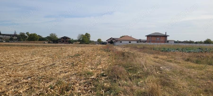 Teren de 4000 mp, în Măgurele