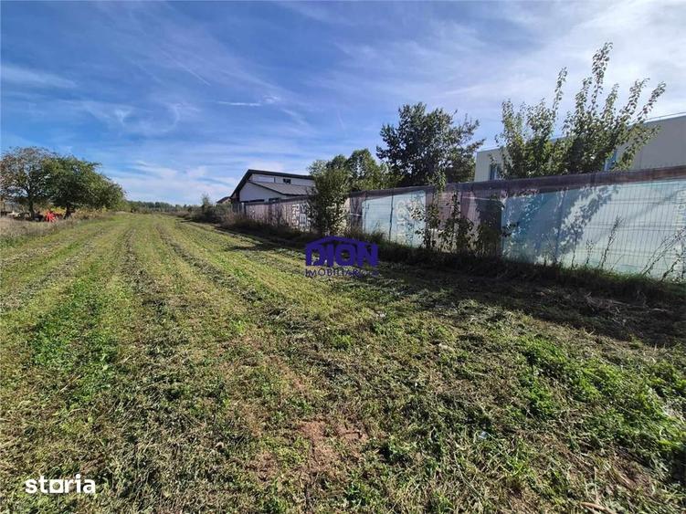 Teren de 2880 mp, în Ciolpani
