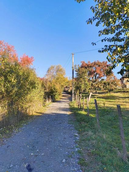 Casă cu 2 camere cu Teren 3536 Mp în Brătești