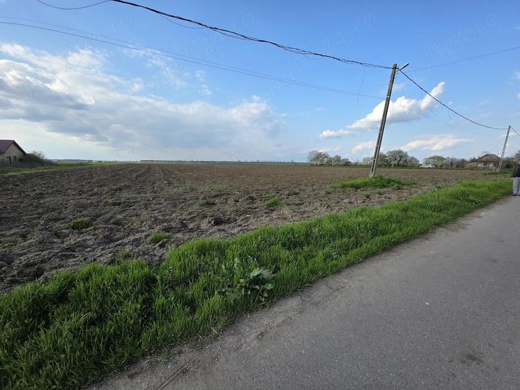 Teren intravilan Creata, Ilfov, 2500mp - 1