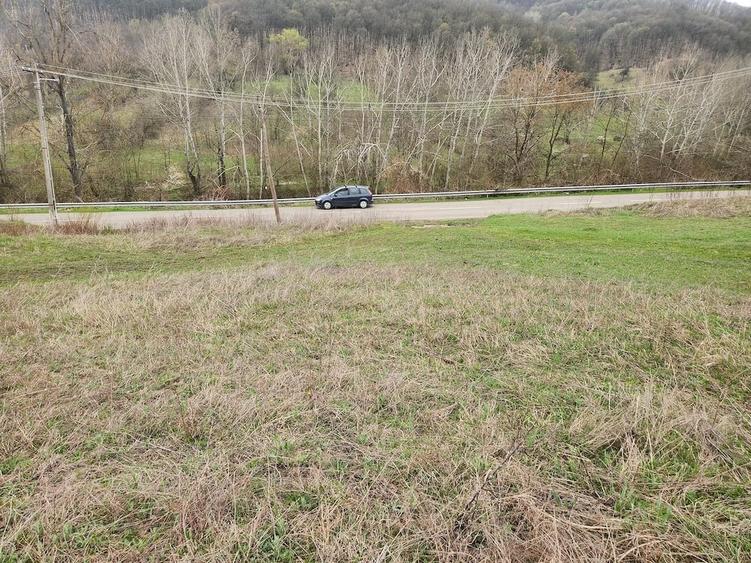 Teren de 8000 mp, în Șoimari