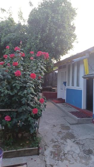 Casă cu 3 camere în Podu Turcului