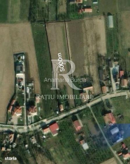 Teren intravilan 5.000 mp de vanzare | Les