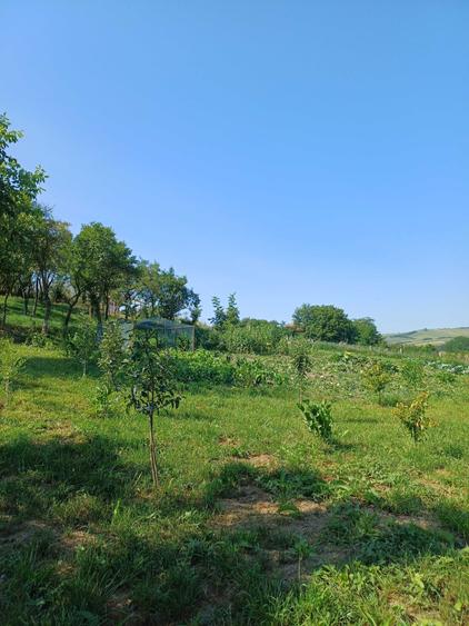 Casă cu 3 camere în Șăulia