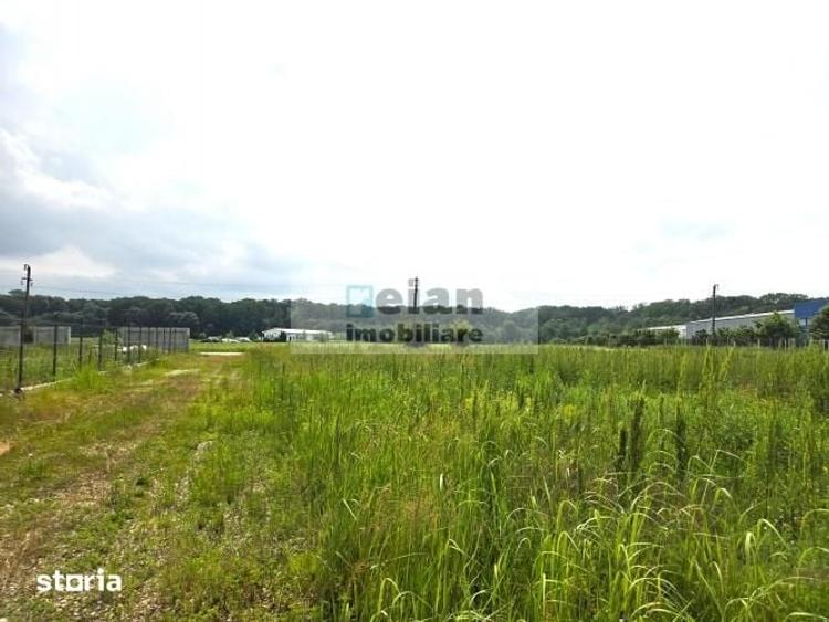 Teren de 3300 mp, în Ciolpani