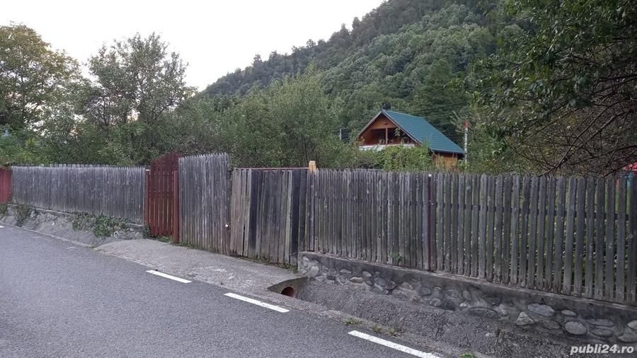 Teren în Păscoaia