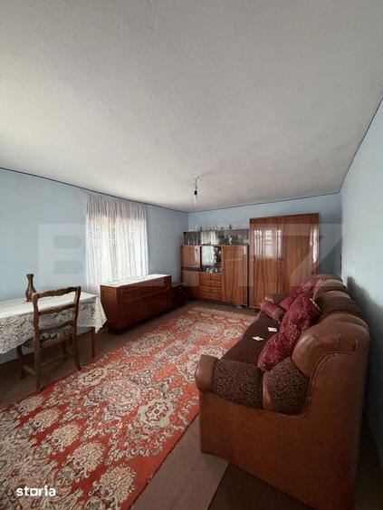 Casa pe parter, 115 mpc, 4505 mp teren, zona Bogea-Almaj - 10