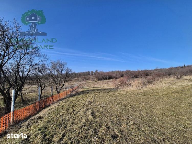 Teren de 560 mp, în Bârnova