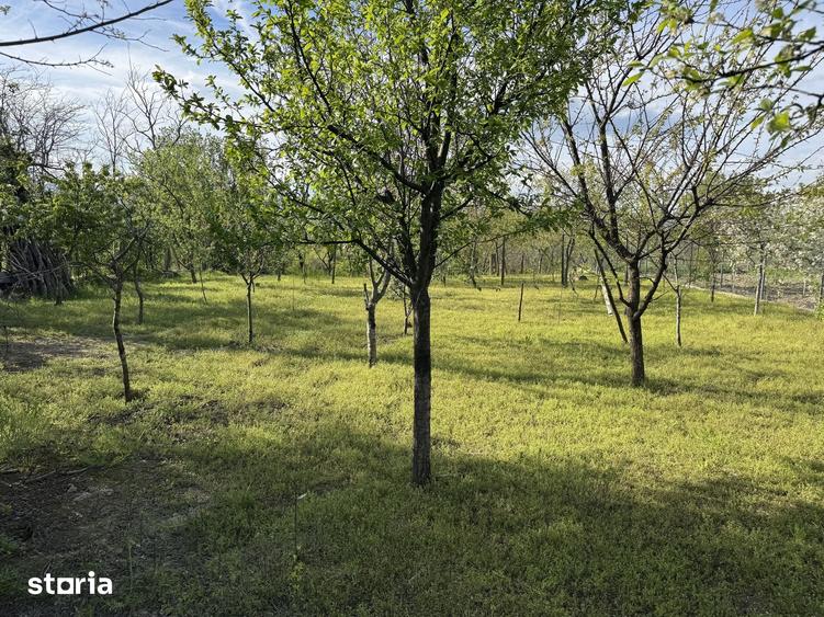 Casă cu 4 camere cu Teren 1600 Mp în Ulmeni