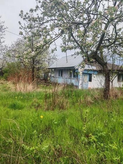 Teren Construcții intravilan de 3160 mp, în Poiana lui Alexa