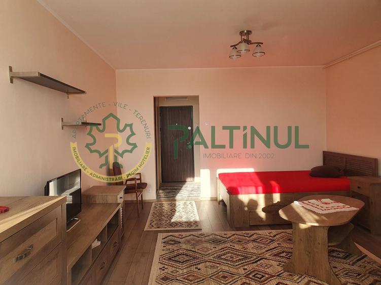 Garsoniera moderna pe Vasile Milea, Sibiu - 1