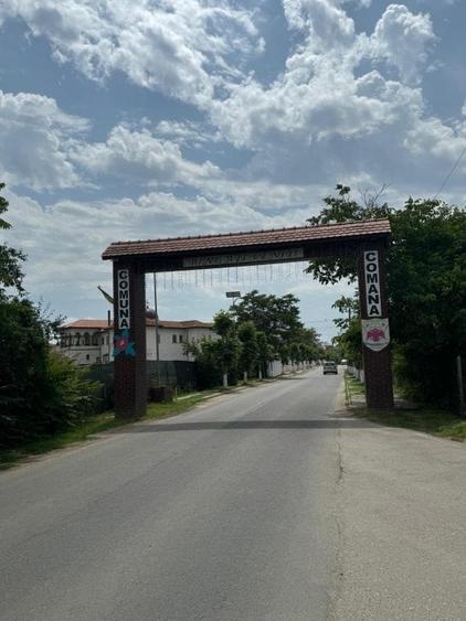Teren Construcții intravilan de 10000 mp, în Comana