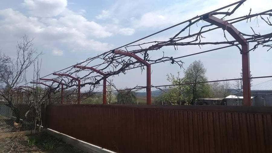 Casă individuală cu 3 camere cu Teren 3825 Mp în Icușeni