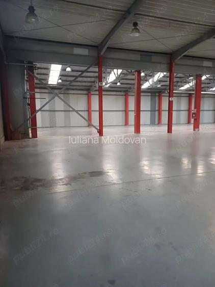 Hala industriala (4.125 mp) si spatiu administrativ (125 mp) - Str.Traian Vuia , Ghimbav