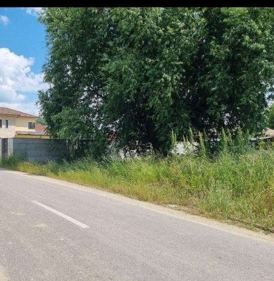 Spațiu comercial, în Șinca