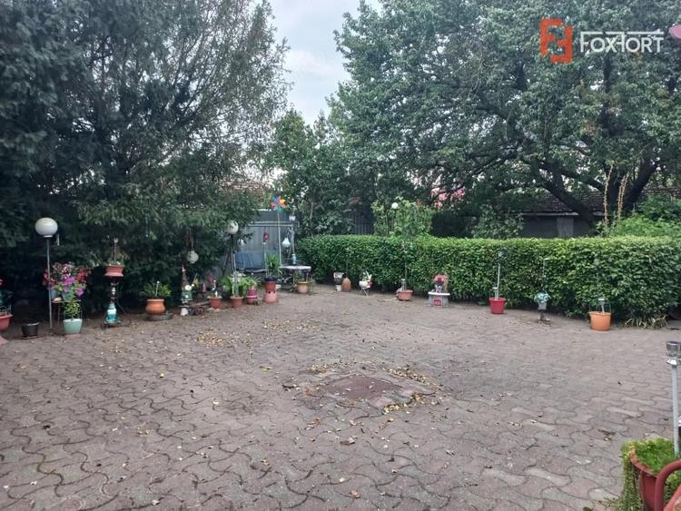Casă cu Teren 3000 Mp în Plopi