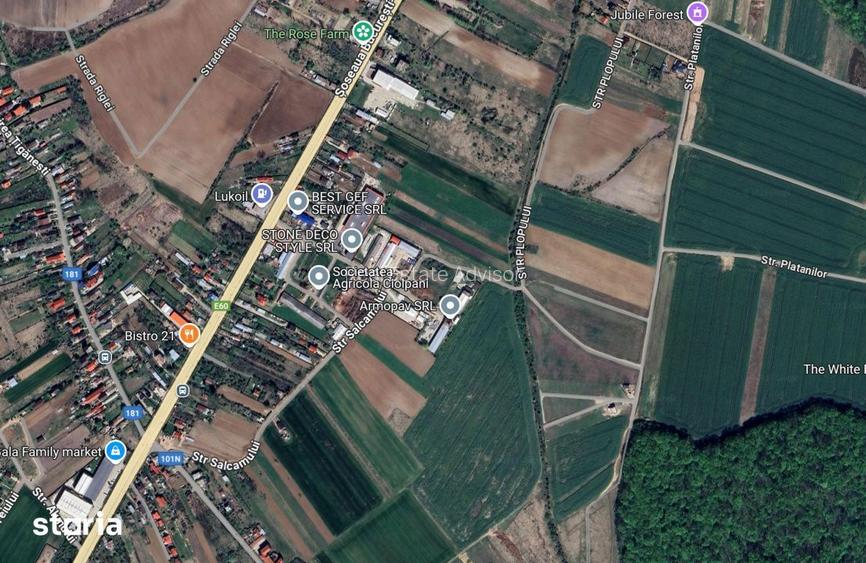 Teren 6900 m2 de vanzare in Ciolpani
