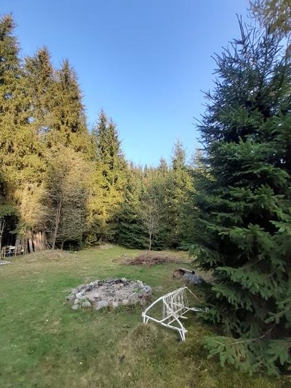 Teren intravilan de 1600 mp, în Arieșeni
