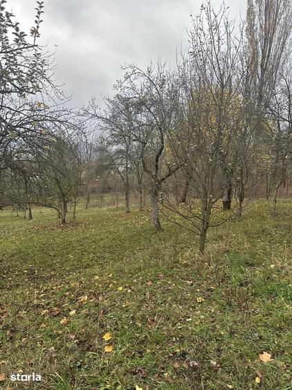 Teren de 1800 mp, în Cornu