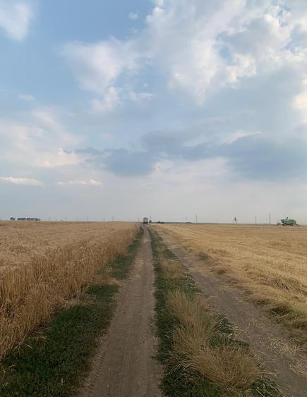 Teren Construcții intravilan de 30000 mp, în Ștefăneștii de Jos