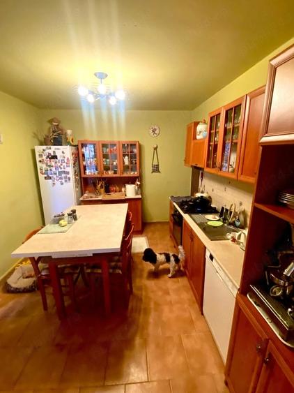 Casă cu 4 camere cu Teren 720 Mp în Cruceni