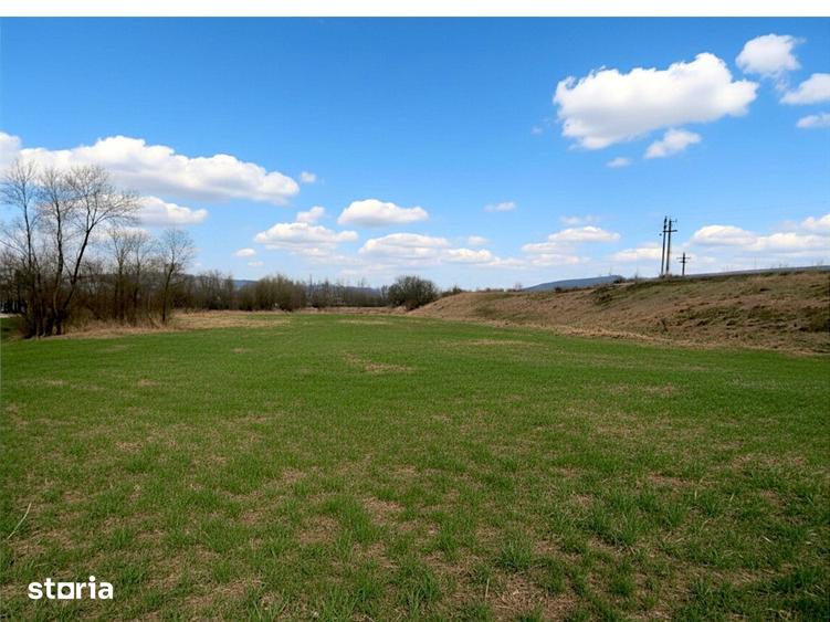 Teren de 12400 mp, în Pătrăuți