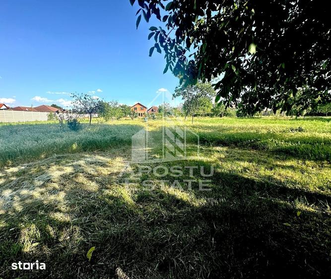 Casă cu 4 camere cu Teren 950 Mp în Zimandu Nou
