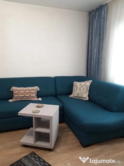 Apartament de inchiriat 1 camera Marasti - Cluj-Napoca (Cluj) - 9