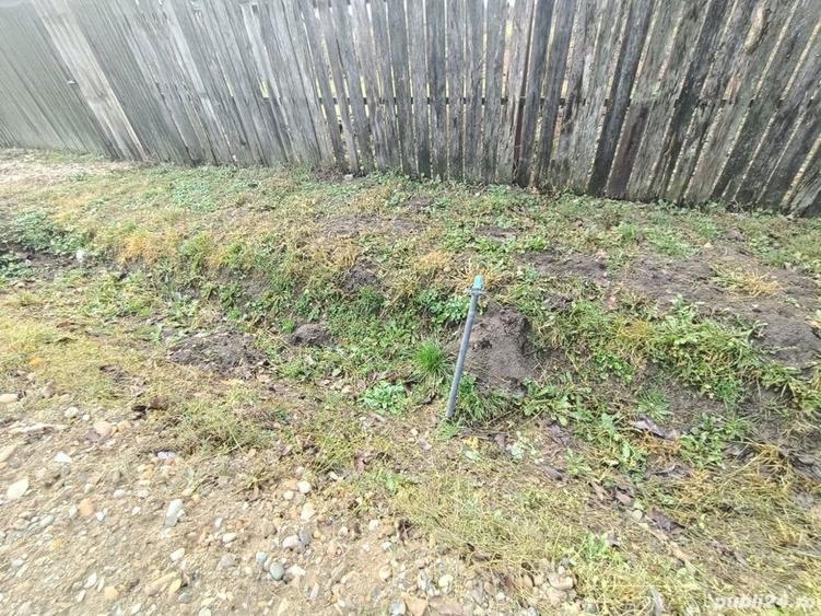 Teren în Ciupa-Mănciulescu