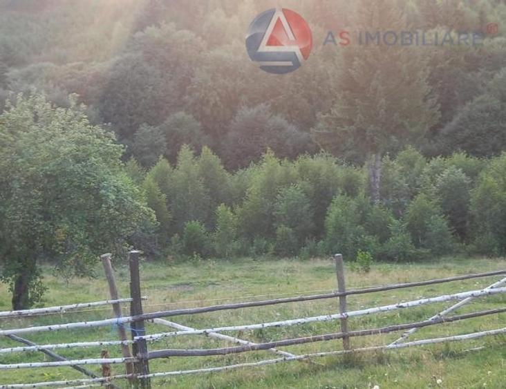 Teren intravilan de 10669 mp, în Moieciu de Jos