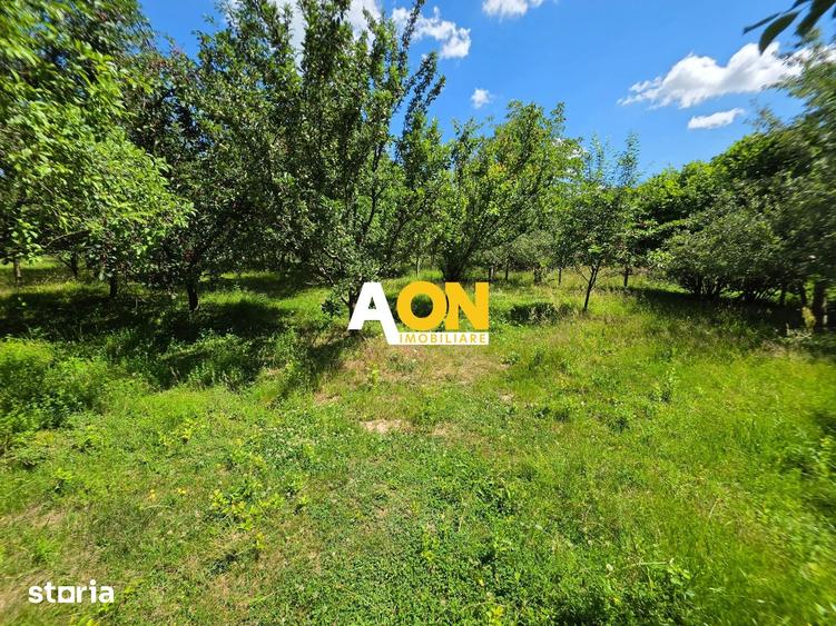 Casă cu 3 camere cu Teren 7050 Mp în Pianu