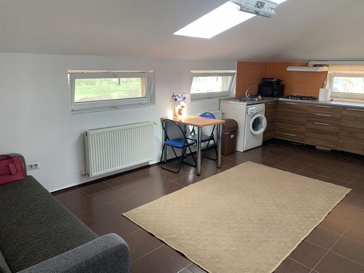 Apartament cu 2 camere semidecomandat în Tătărăști