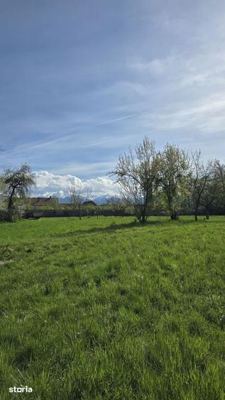 Teren de 1700 mp, în Recea
