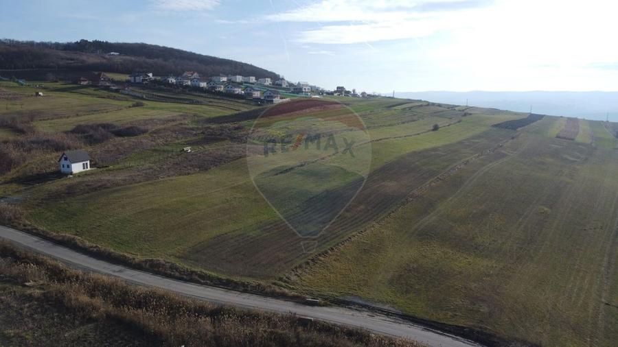 Teren agricol extravilan de 68403 mp, în Popești