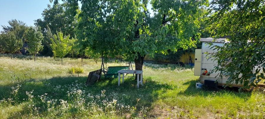 Teren de 1005 mp, în Dumbrava