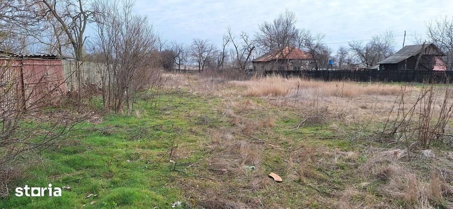 Teren de 2433 mp, în Blejești
