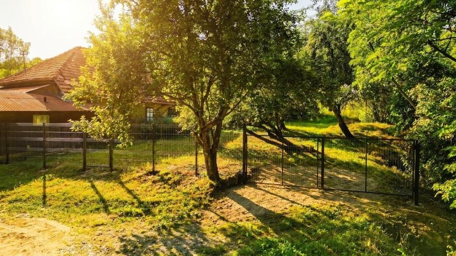 Teren Construcții intravilan de 11700 mp, în Valea Lungă-Gorgota