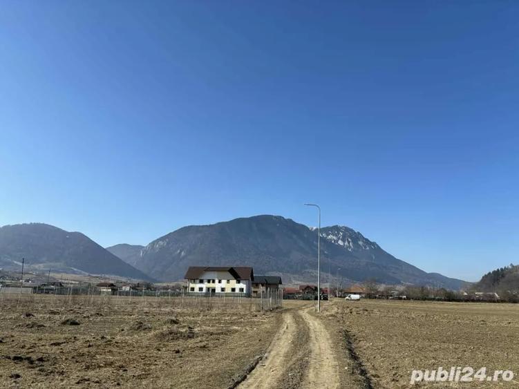 Teren în Plaiul Foii